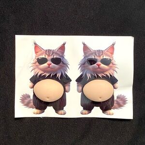 Pudgy Kitty 3D Sticker Fidget Set - Help for stress & anxiety, ADHD NWOT
